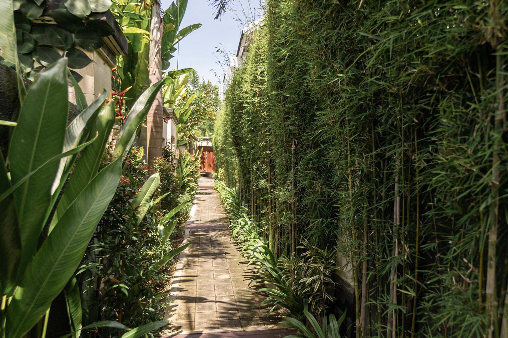 Belle Asana Villa Canggu Exteriör bild