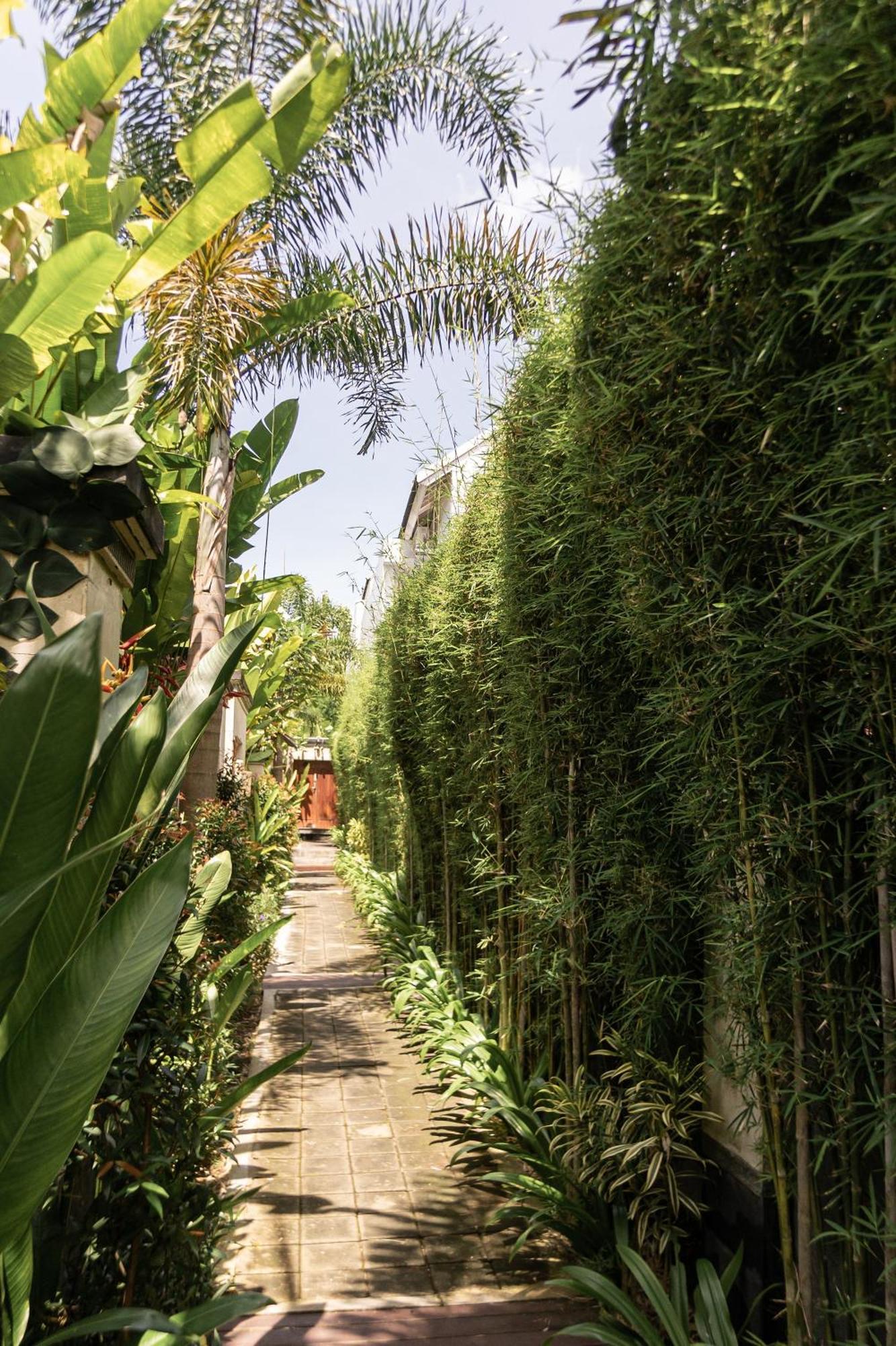 Belle Asana Villa Canggu Exteriör bild